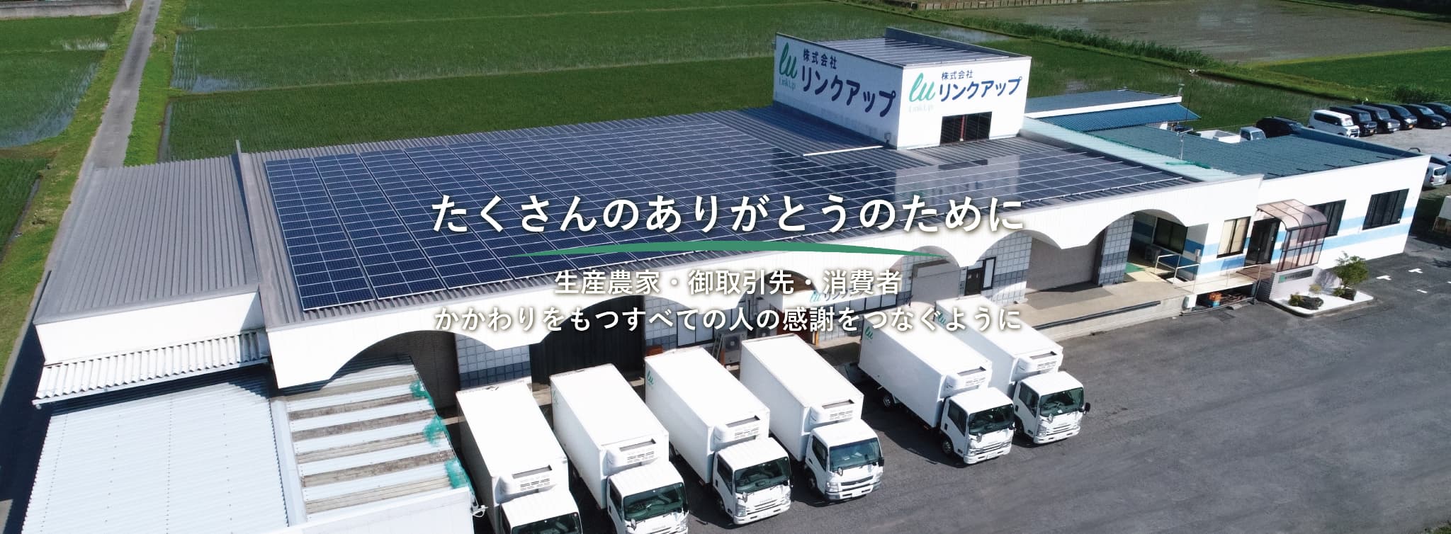 株式 会社 link up